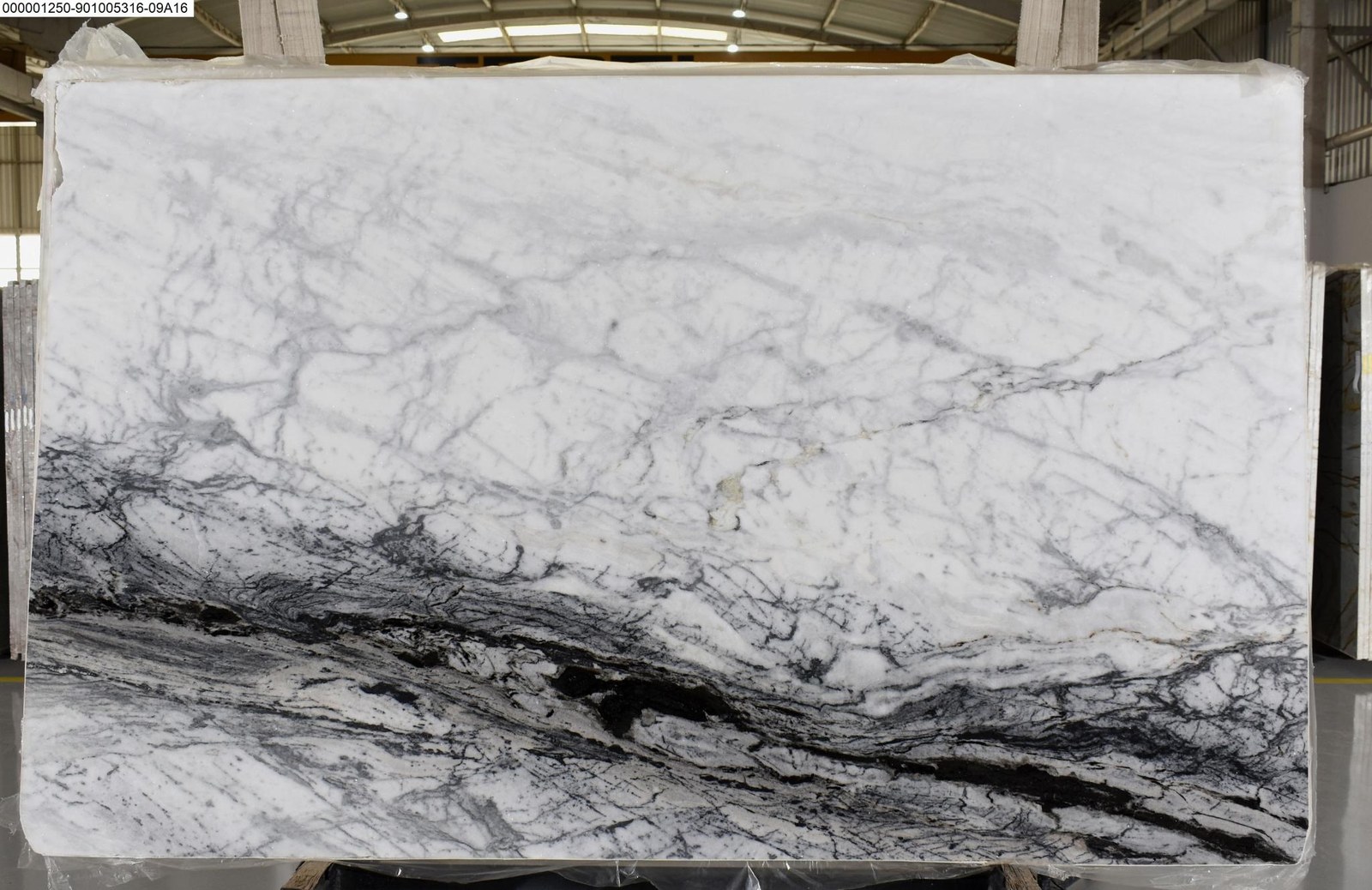 Jaguar Stone Marble